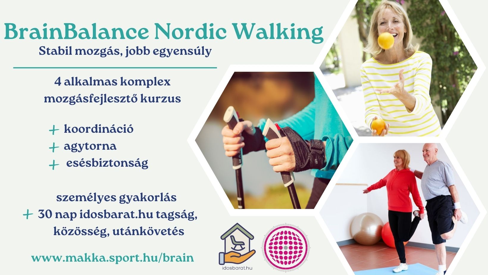 BrainBalance Nordic Walknig
